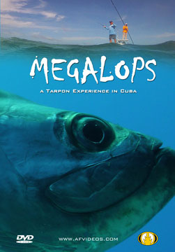 Megalops
